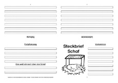 Schaf-Faltbuch-vierseitig-4.pdf